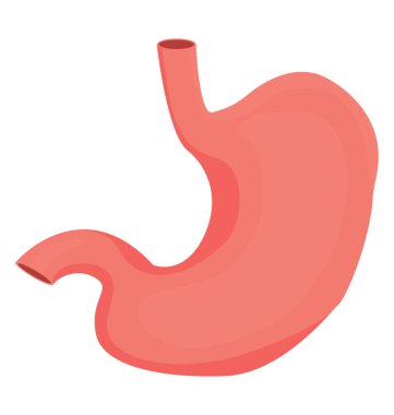 Almak ve burada mide simgesi için Grafiği çizilecek gıda işlemek için insan vücudu kaslı organ