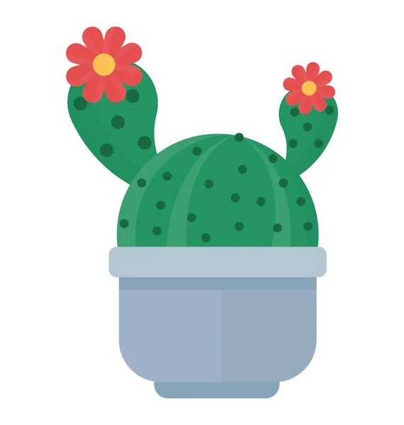 Une Plante Forme Cactus Avec Des Fleurs Rébutia — Image vectorielle