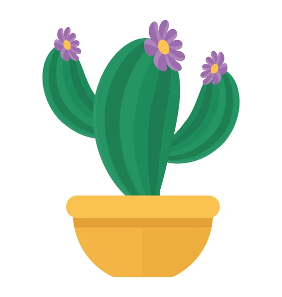 Ένας Κάκτος Λουλούδια Cereus Repandus — Διανυσματικό Αρχείο