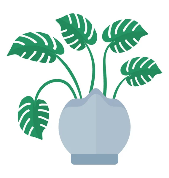 Горшок Широкими Тонкими Листьями Растение Монстра Deliciosa — стоковый вектор