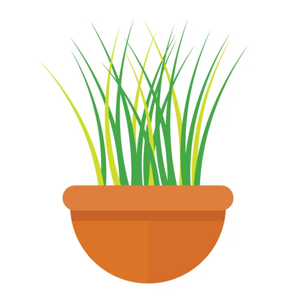 Трава Листовое Растение Горшке Характеризующее Декоративную Траву — стоковый вектор
