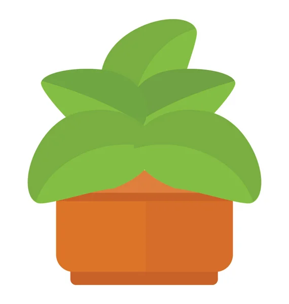 Ένα Τροπικό Φυτό Ευρεία Και Μικρά Φύλλα Εγκαταστάσεις Φυλλώματος — Διανυσματικό Αρχείο