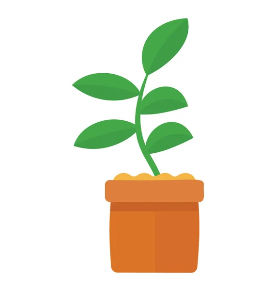 Растение Средними Листьями Изображающими Резиновый Инжир — стоковый вектор