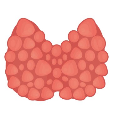Endokrin sisteminin bir insan organ yapısı yapmak alışveriş merkezi kıllar 