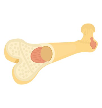 Bacak kemiği veya köpek kemiği gösteren bir simge 