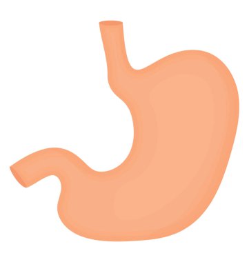 Almak ve burada mide simgesi için Grafiği çizilecek gıda işlemek için insan vücudu kaslı organ