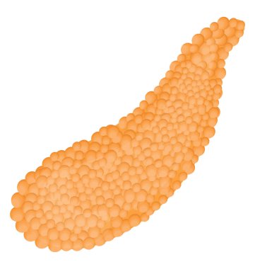 Uzun düz bir armut bezi içinde insan karın gösteren pankreas simge şeklinde 