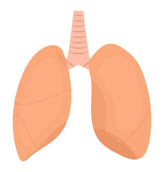 Interne Ademhalingsorganen Van Menselijk Lichaam Hier Gepresenteerd Longen Pictogram Weergeven — Stockvector