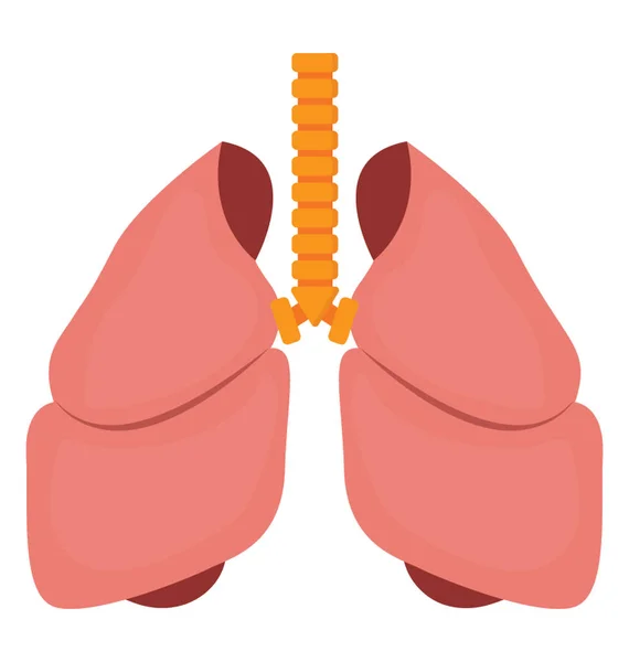 Interne Ademhalingsorganen Van Menselijk Lichaam Hier Gepresenteerd Longen Pictogram Weergeven — Stockvector