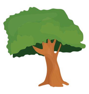 Küçük yetişen ağaç yuvarlak meyveler, şeker berry ağaç 