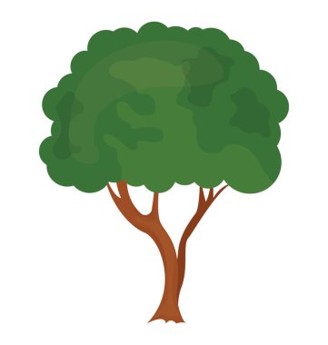 Meşe ağacı için bir simge yapılandırılmış beach ailesine ait ağaç 