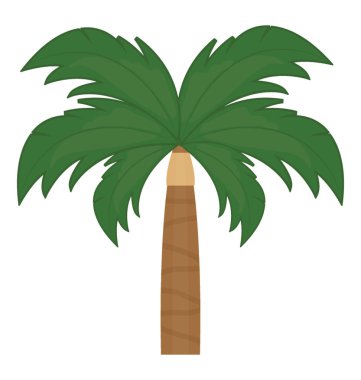 Ağaç yaprak çiçek yapılandırılmış palm ailesine ait, bu Hindistan cevizi ağacı  