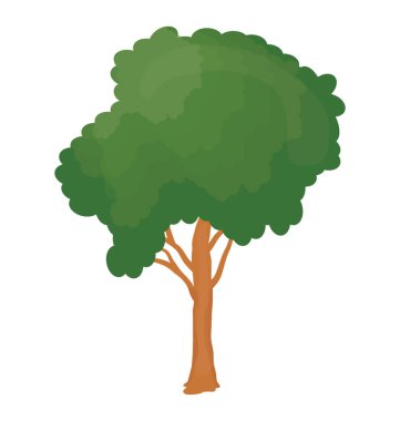 Dikenli bir yaprak döken ağaç, tatlım locust 