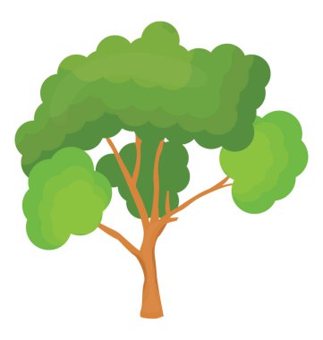 İskoç çam ağacı, pinus sylvestris simgesi düz.