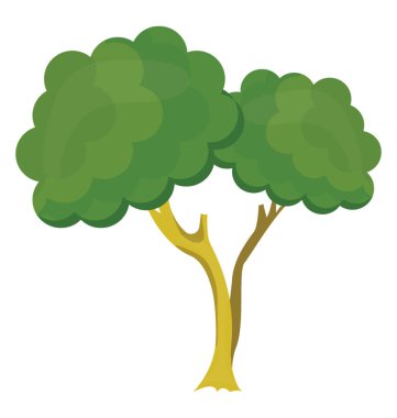 Bonsai ağacı ağacıdır küçük dairesel yaprak ve dal yapısı ile