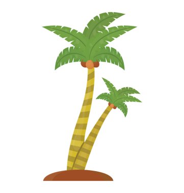 Palmiye ağacına benzeyen yaprakları olan tropik bir ağaç.