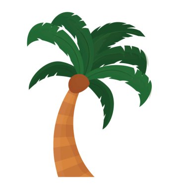 Tropik ağaç hurma gösterilen bir el şeklinde yaprakları ile 