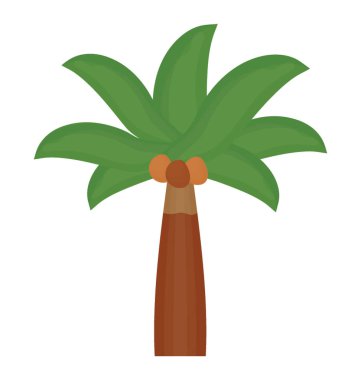 Tropik ağaç hurma gösterilen bir el şeklinde yaprakları ile 