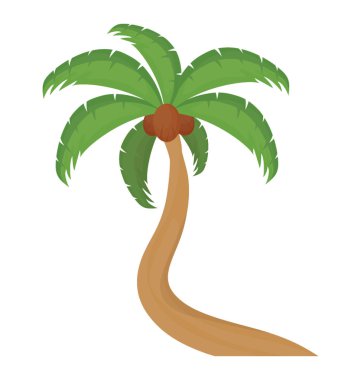 Ağaç yaprak çiçek yapılandırılmış palm ailesine ait, bu Hindistan cevizi ağacı  