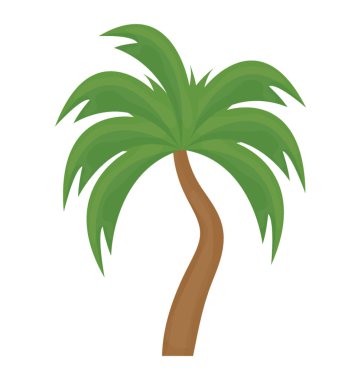 Palmiye ağacına benzeyen yaprakları olan tropik bir ağaç.