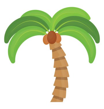 Ağaç yaprak çiçek yapılandırılmış palm ailesine ait, bu Hindistan cevizi ağacı  