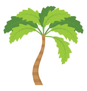 Palmiye ağacına benzeyen yaprakları olan tropik bir ağaç.