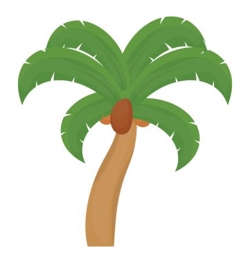 Ağaç yaprak çiçek yapılandırılmış palm ailesine ait, bu Hindistan cevizi ağacı  