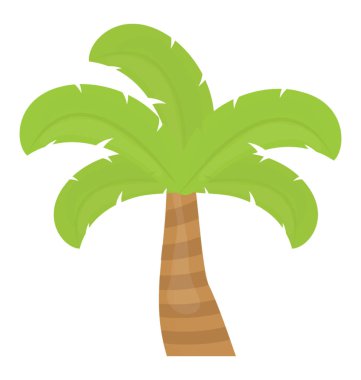 Palmiye ağacına benzeyen yaprakları olan tropik bir ağaç.