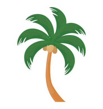 Tropik ağaç hurma gösterilen bir el şeklinde yaprakları ile 