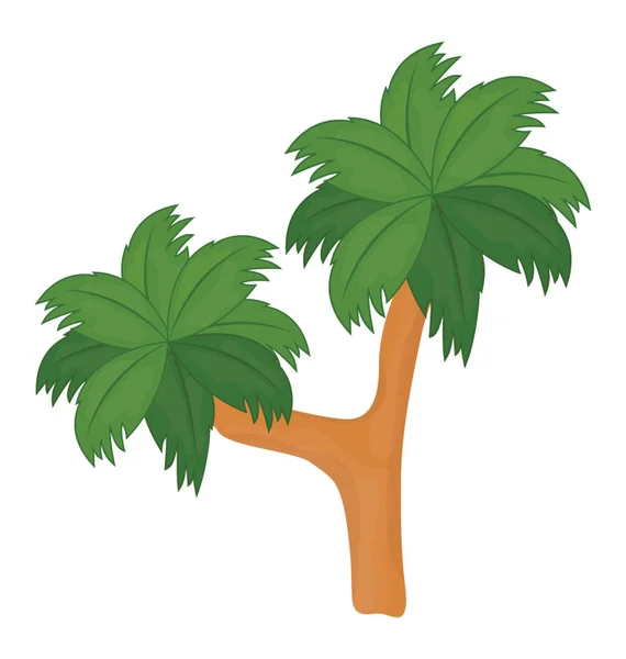 Gül Yaprakları Gibi Olan Palm Aileden Tropik Ağaç Yapısı Yapraklar — Stok Vektör