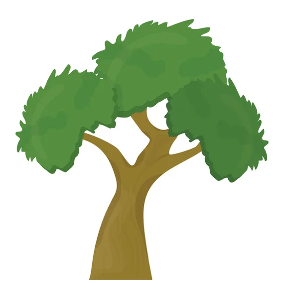 樫の木のアイコンで構造化されたビーチ家族に属するツリー — ストックベクタ