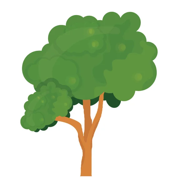 Дерево Яке Вирощує Маленькі Круглі Плоди Цукрове Ягідне Дерево — стоковий вектор