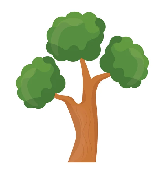 小圆叶和树枝结构的树是盆景松树 — 图库矢量图片
