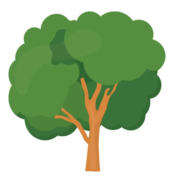 Оливкове Бузкове Сімейне Дерево Квітковим Листям Значок Попелу — стоковий вектор