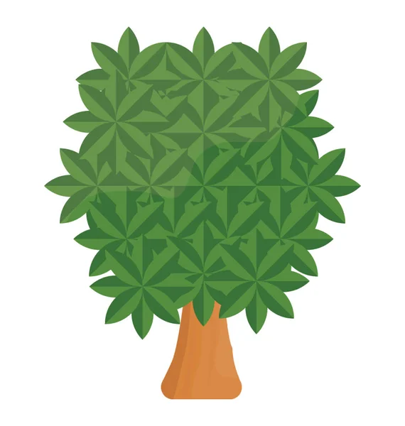 Evergreen Deciduous Tree Sassafras Flat Vector Icon — Stock Vector