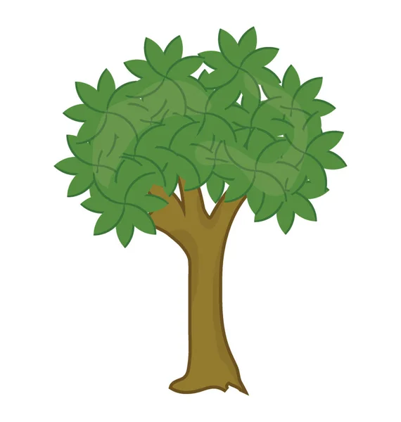 Bir Evergreen Bitternut Hickory Ağaç Düz Tasarım — Stok Vektör
