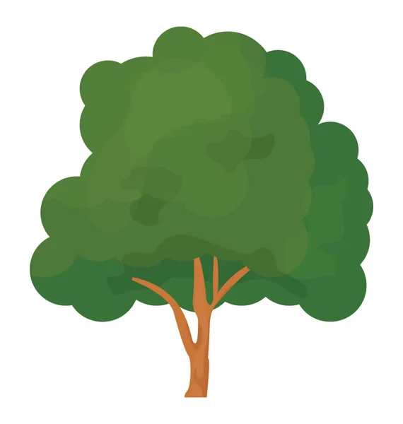 Árvore Faia Isolado Ícone Plano Florestal — Vetor de Stock