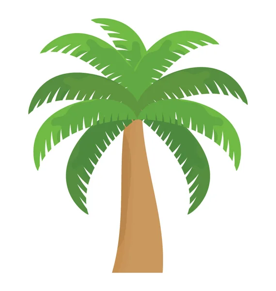 Tropikalne Drzewo Liśćmi Kształcie Dłoni Pokazujące Palmę — Wektor stockowy