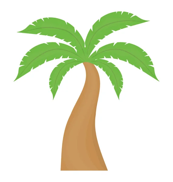 Árbol Tropical Con Hojas Forma Mano Que Muestra Palmera — Vector de stock