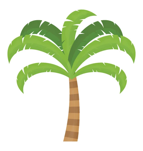 Tropical Tree Leaves Shaped Hand Showing Palm Tree — Stock Vector