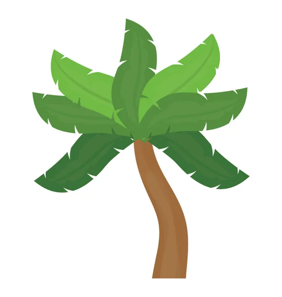 Palmiye Ağacına Benzeyen Yaprakları Olan Tropik Bir Ağaç — Stok Vektör