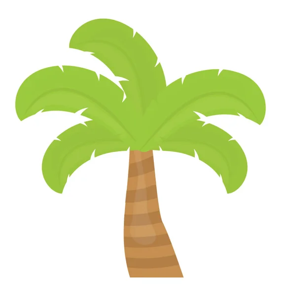 Arbre Tropical Avec Des Feuilles Forme Main Montrant Palmier — Image vectorielle