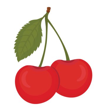 Bir çift ile sağlıklı meyve bırakın kiraz tasvir