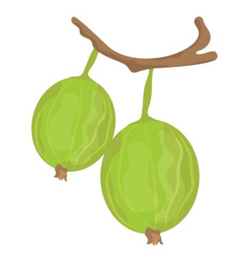 Taze yuvarlak şekilli meyve passion meyve resmeden bir kök asılı bir çift