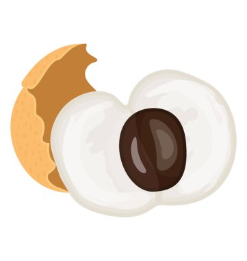 Tohum, longan resmeden ile taze soyulmuş meyve simgesi