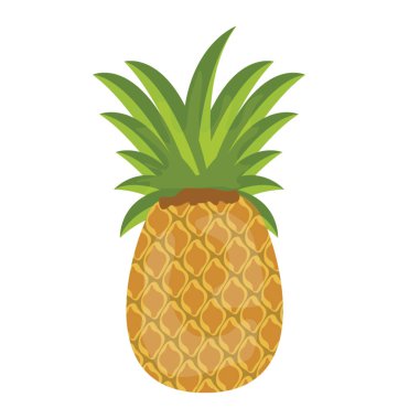 Bir taze sulu meyve ananas tasvir