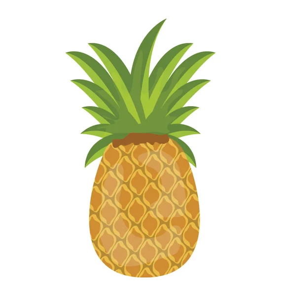 Fruit Frais Juteux Représentant Ananas — Image vectorielle