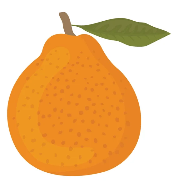 Eine Runde Form Frisches Obst Mit Saft Inneren Orange — Stockvektor