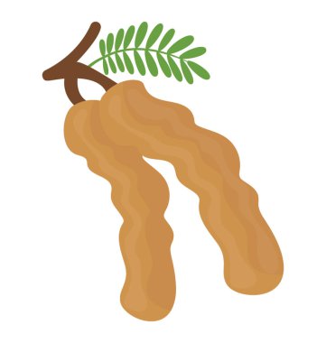 Bir çift küçük yaprakları demirhindi resmeden ile taze meyve 