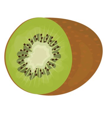 Bir taze yuvarlak şekil meyve kivi tasvir içinde küçük tohum olan 